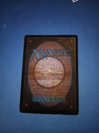 Playa Anegada Magic The Gathering Carta