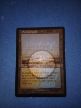 Playa Anegada Magic The Gathering Carta
