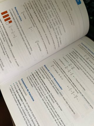 L’essencial de matemàtiques. Primària 6.