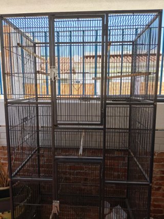 Jaula grande para pájaros