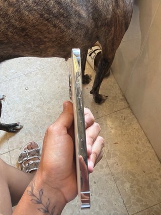iPhone 13 Pro Oro/Argento