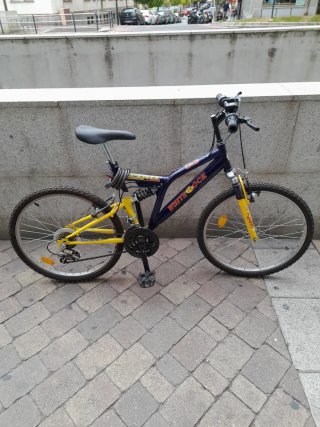 Bicicleta Montaña White Rock