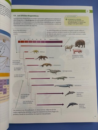 Biología, Geología y Ciencias Ambientales 1 Bach