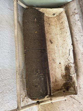 3 Recogedoras de aceitunas