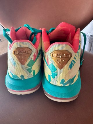 Nike Lebron 9 Talla 42 Palmer