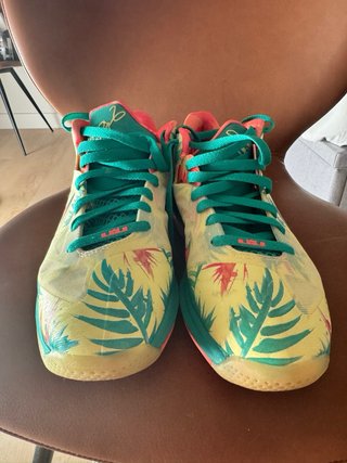 Nike Lebron 9 Talla 42 Palmer