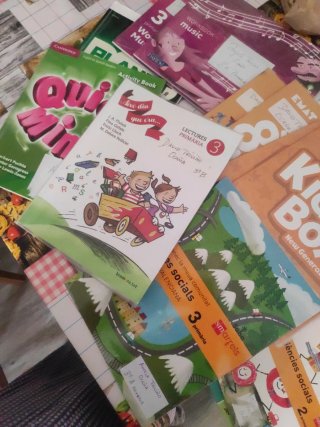 Quick Minds Level 3 Activity Book Spanish Edition