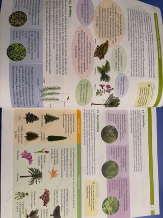 Biología, Geología y Ciencias Ambientales 1 Bach
