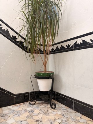 Soportes de hierro para macetas