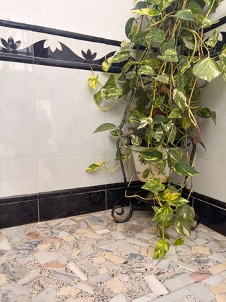 Soportes de hierro para macetas