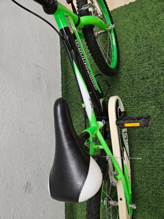 Bicicleta BH California Infantil Verde