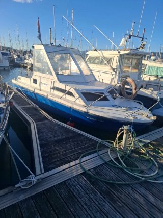 2 Motores Perkins 4108