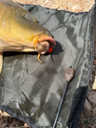 10 Bolsas Solubles Pesca