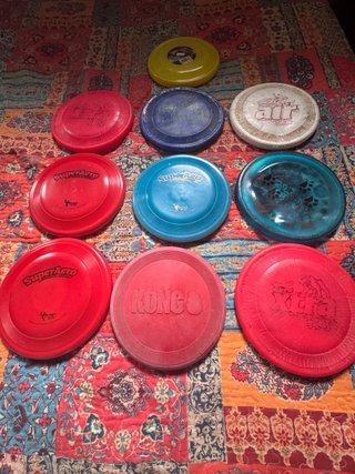 Set 10 Frisbees Discos Voladores Disc-Dog