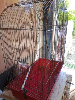Jaula para ninfas/agapornis