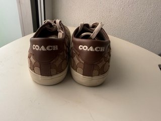 Coach Citysole Skate Sneakers Beige/Marrón