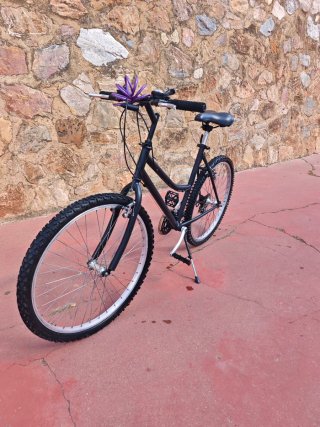 Bicicletas de montaña 24 pulgadas