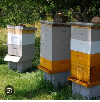 Colmenas y alzas de abejas usadas