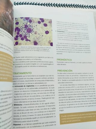 Las 105 consultas más frecuentes en la clínica ...