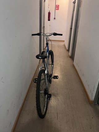 Bicicleta Topbike Zoom Gris y Azul
