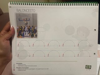 Libro 4 años de la carpeta de los goguis primer tr