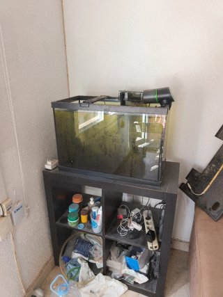Acuario de cristal de 70-80l