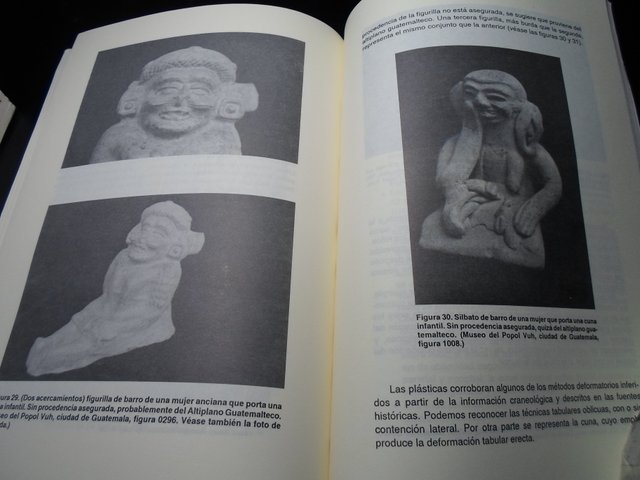 2 Libros Historia Antigua y Mayas