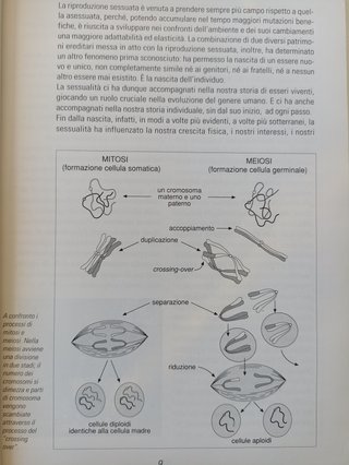 Sessualità e amore. Guida all'educazione sessuale
