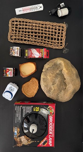 Terrario Gigan Terra + Accesorios Reptiles