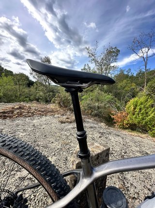 Orbea Alma