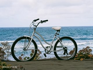 Bicicleta Playera Blanca