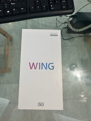 LG Wing 5G