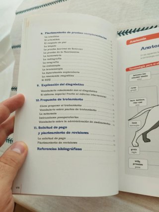 El inglés en la consulta veterinaria