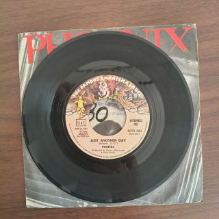 Phoenix - Just Another Day 7 Vinile