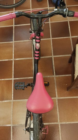 Bicicleta niña (5-9 años) BTWIN Mistigirl 320.