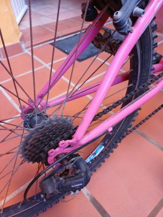 Bici