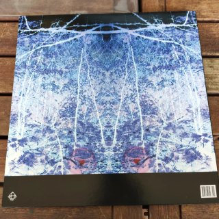 Nadja Thaumogenesis 2 Vinili + CD