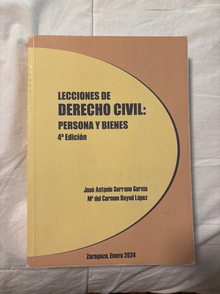 Lecciones de derecho civil: persona y bienes.