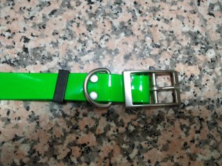 Collares verdes para perros