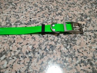 Collares verdes para perros