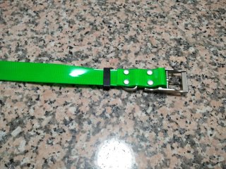 Collares verdes para perros