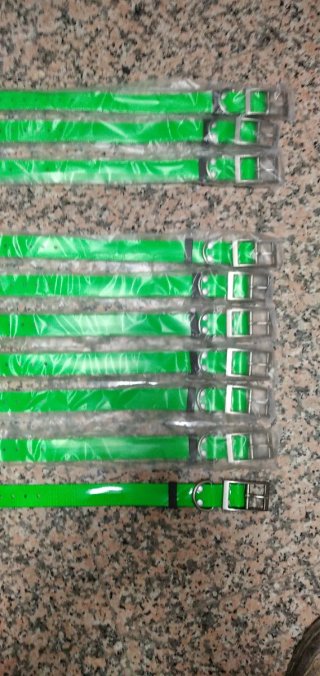 Collares verdes para perros