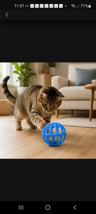 Pelota de plástico para gatos