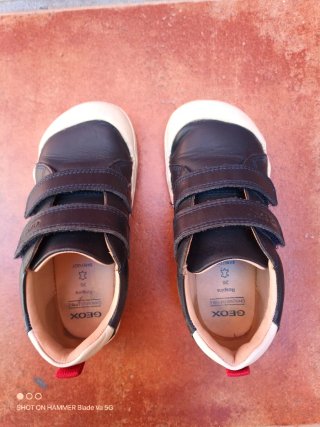 Zapatos Geox 26