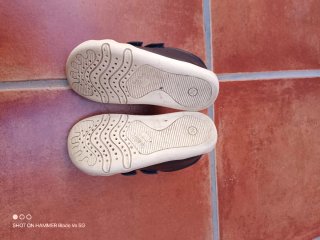 Zapatos Geox 26