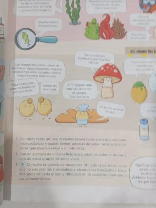 Ciencias de la Naturaleza, 3 Primaria