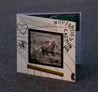 Vinilo Ultraligero Novedades Carminha