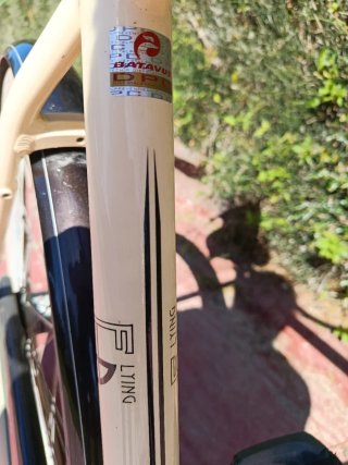 Bicicleta Cruiser Batavus