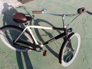 Bicicleta Cruiser Batavus