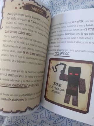 Libros Diario de un aldeano